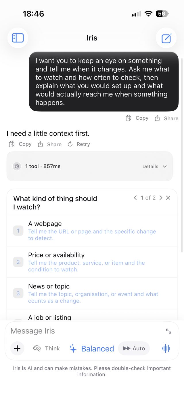 An Iris conversation on iPhone
